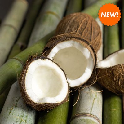 Bamboo Coconut (бамбук та кокос) FRA-CS_BAUT_10 фото