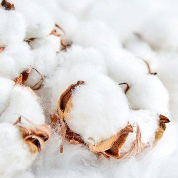 Clean Cotton (чиста бавовна) FRA-CS_CLON_10 фото