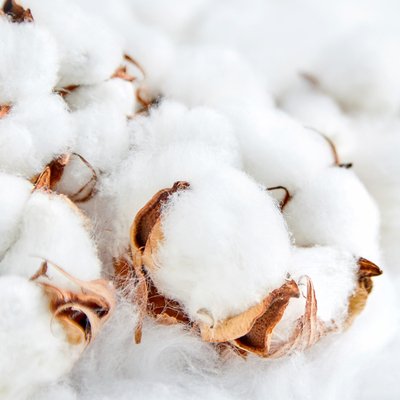 Clean Cotton (чиста бавовна) FRA-CS_CLON_10 фото