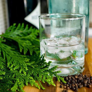Dry Gin and Cypress (джин та кипарис) FRA-CS_DRSS_10 фото