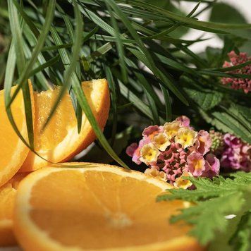 Lemongrass and Verbena Citronella (лемонграс та вербена цитронелла)  FRA-CS_LELA_10 фото