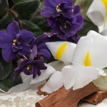White Orris and Sandalwood (білий ірис і сандалове дерево) FRA-CS_WHOD _10 фото