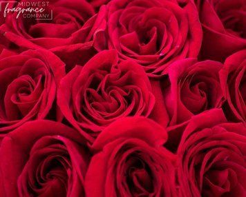 Rose Bouquet (Букет троянд) FRA-MW_ROET_10 фото