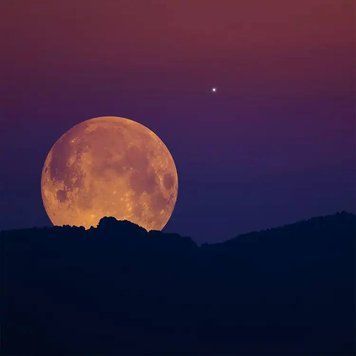 Harvest Moon (жнивний місяць) FRA-CS_HAON_10 фото