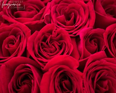 Rose Bouquet (Букет троянд) FRA-MW_ROET_10 фото