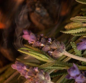 Lavender Embers (димна лаванда) FRA-CS_LARS_10 фото