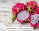 Pink Dragonfruit (рожева пітая) FRA-MW_PIIT_10 фото 2