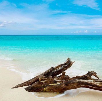 Caribbean Teakwood (карибське тикове дерево) FRA-CS_CAOD_10 фото