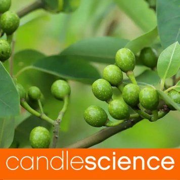 Ефірна олія ліцея кубеба (Litsea Cubeba) 5гр ESS-CS_LIBA_5 фото