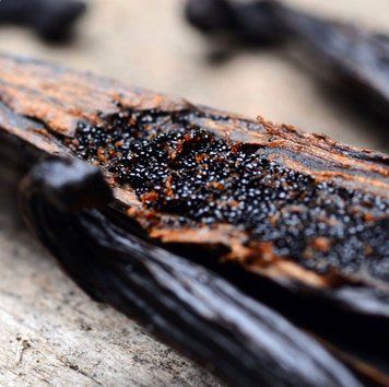 Very Vanilla (ванільна ваніль) FRA-CS_VELA_10 фото