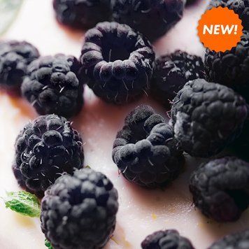 Black Raspberry Vanilla (чорна малина та ваніль) FRA-CS_BLLA_10 фото