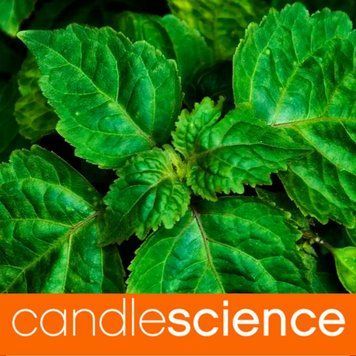 Ефірна олія пачулі (Patchouli) 5гр ESS-CS_PALI_5 фото