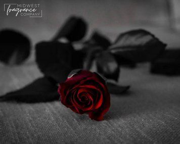 Dark Kiss (поцілунок темряви) FRA-MW_DASS_10 фото