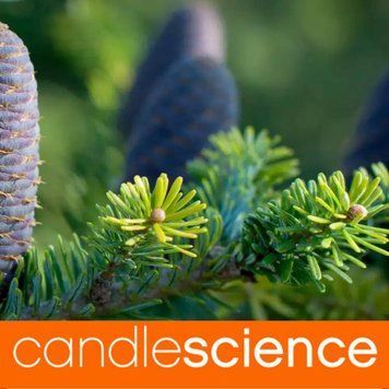 Ефірна олія ялиці (Fir Needle) 5гр ESS-CS_FILE_5 фото