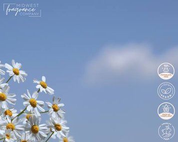Gingham (клементин та фрезія) FRA-MW_GIAM_10 фото