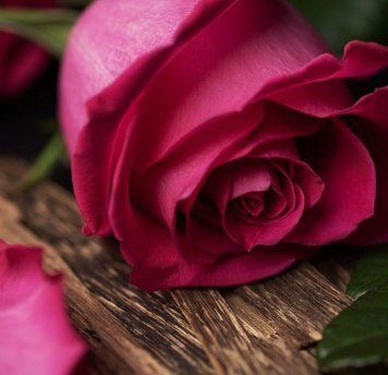Rose and Oud (троянда та уд) FRA-CS_ROUD_10 фото