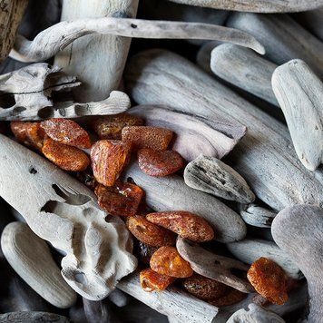 Amber and Driftwood (бурштин та мокре дерево) FRA-CS_AMOD_10 фото