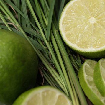 Lemongrass and Lime (лемонграс та лайм) FRA-CS_LEME_10 фото