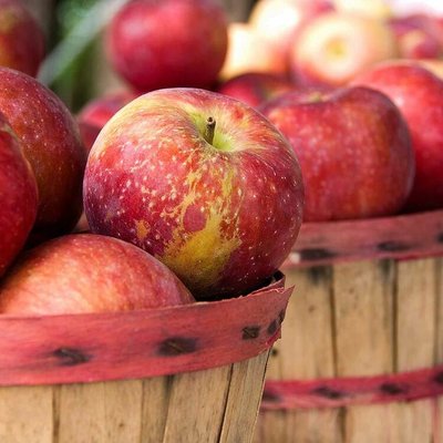 Apple Harvest (яблучний врожай) FRA-CS_APST_10 фото