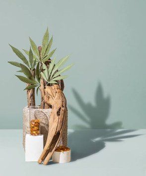 Cannabis & Agarwood (канабіс та агарове дерево) FRA-MS_CAOD_10 фото