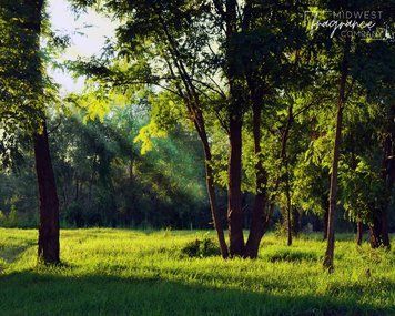 Bergamot + Sandalwood (бергамот + сандалове дерево) FRA-MW_BEOD_10 фото