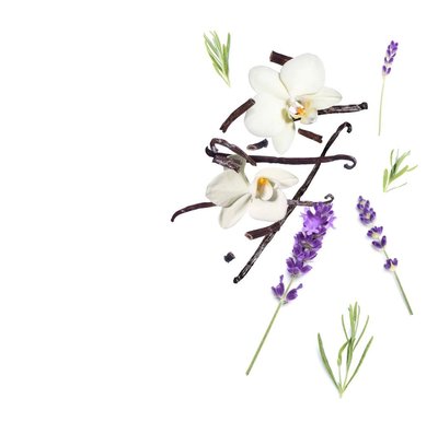 Lavender & Vanilla (лаванда та ваніль) FRA-VV_LAVA_10 фото