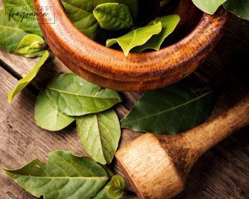 Tobacco + Bay Leaf (Тютюн та лавровий лист) FRA-MW_TOAF_10 фото