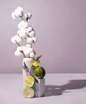 Egyptian Linen & Lavender Buds (єгипетський льон та бутони лаванди) FRA-MS_EGDS_10 фото