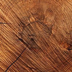 Timbersilk (IFF) MOL-MM_TILK_5 фото