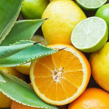Citrus Agave (цитрус-агава) FRA-CS_CIVE_10 фото