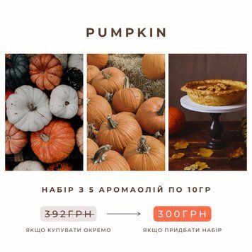 PUMPKIN FRA-SET_PUIN_5 фото