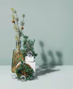 Juniper Fir & Balsam Spruсe (ялівець та ялиця бальзамічна) FRA-MS_JUSE_10 фото