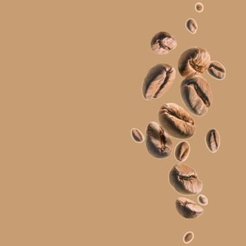 Coffee Latte FRA-VV_COTE_10 фото