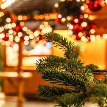 Winter Market (зимовий ярмарок) FRA-CS_WINT_10 фото