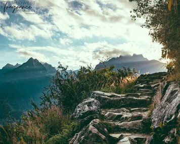 Cedar Musk + Lavender (кедровий мускус + лаванда) FRA-MW_CEER_10 фото