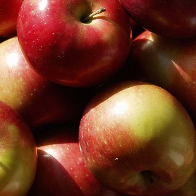 Macintosh Apple (яблуко)  FRA-CS_MALE_10 фото