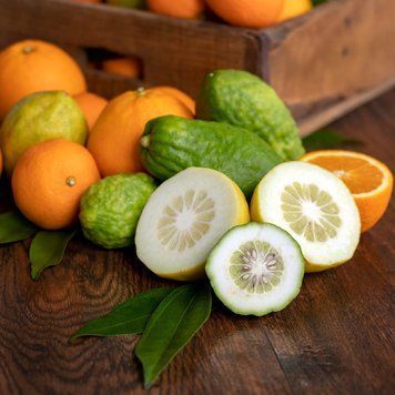 Citron and Mandarin (цитрон і мандарин) FRA-CS_CIIN_10 фото