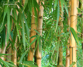 Bamboo Teakwood (Бамбук Тикове дерево) FRA-MW_BAOD_10 фото