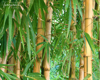 Bamboo Teakwood (Бамбук Тикове дерево) FRA-MW_BAOD_10 фото